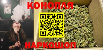 a pvp Будённовск