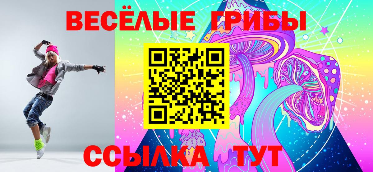 Галлюциногенные грибы GOLDEN TEACHER Новодвинск