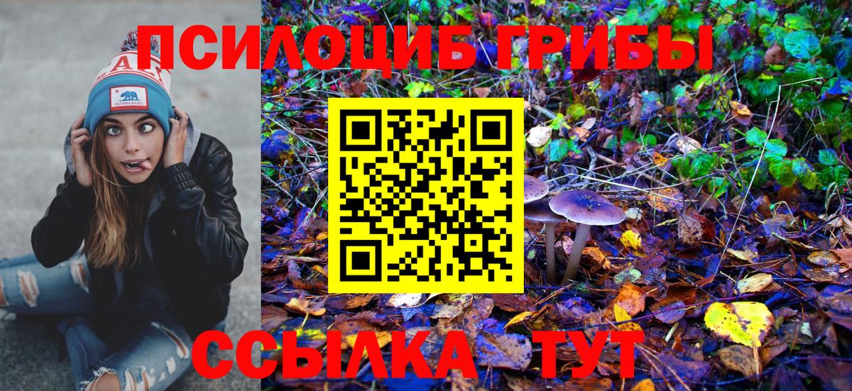 Галлюциногенные грибы Psilocybine cubensis  Псилоцибиновые грибы Magic Shrooms  Новодвинск  Вход с VPN 