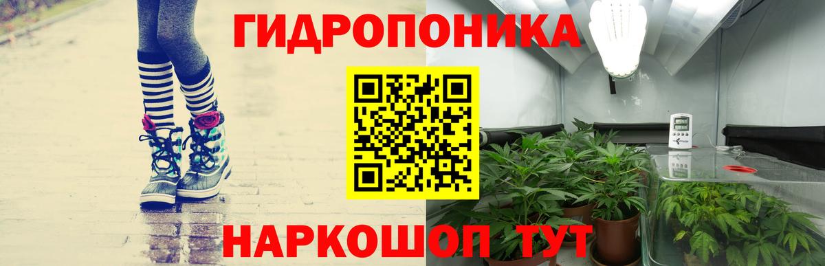 Бошки марихуана Bruce Banner  Вход с VPN  Конопля Bruce Banner  Новодвинск 